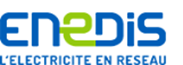 Logo_ENEDIS